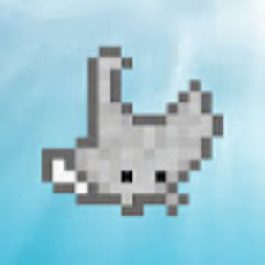 Meet your Posher, Ray